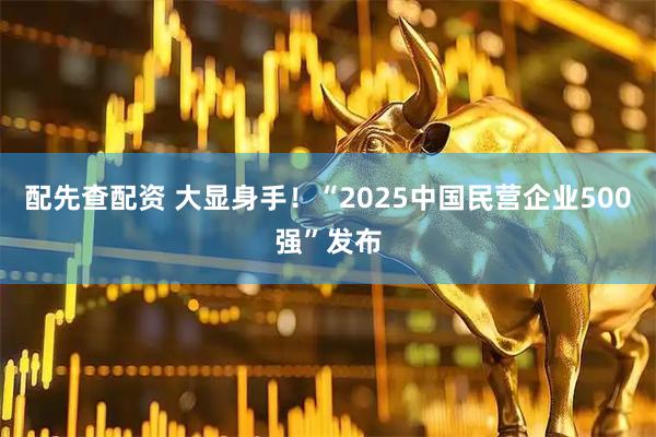配先查配资 大显身手！“2025中国民营企业500强”发布