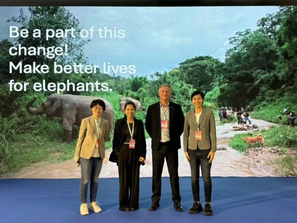 福州股票配资网 泰国大象友好型旅游：可持续旅游的新趋势与新机遇